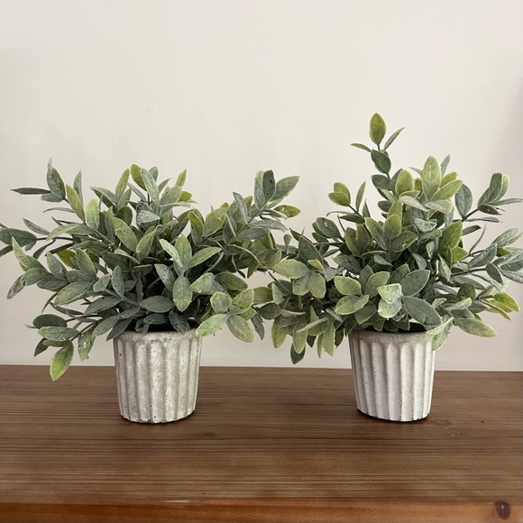 Accents Set Of Two Small Artificial Potted Plants Faux Greenery